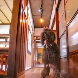 Okamuran Shimanami Goten - Vacation STAY 95664v, hotel in Imabari