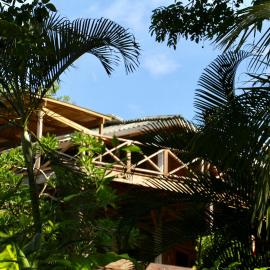 Eden Jungle Lodge