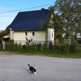Ferienwohnung Schmidt