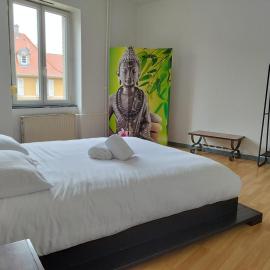 Le Thannois - appartement 2 chambres, salon, cuisine équipée, parking et wifi gratuit, hotel in Mulhouse