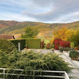 Logement de charme au coeur de la nature, Hotel in Osenbach