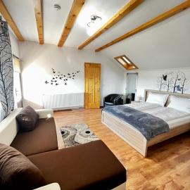 Vila SOFIA, hotel u gradu 'Haţeg'