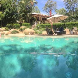 Samford Bush Haven