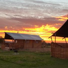 The Paddock