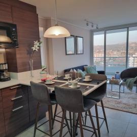 Exclusivo Departamento a Pasos de la Playa en Viña, hotel in Viña del Mar