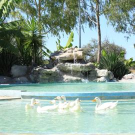 Bambi Lodge: Groutfontein şehrinde bir otel