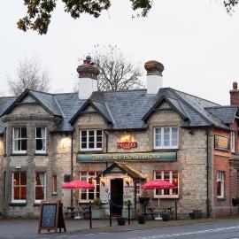 The Three Horseshoes East Worldham, hotel in Alton