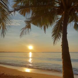 Frangipani Beach Villa, hotell Tangalles
