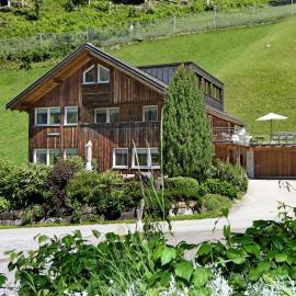 Ferienwohnung Lingg, hotel in Schoppernau
