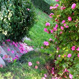 Guest house Cascina Belsito, Hotel in Biella