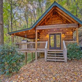 Fireplace & Foliage: Quaint Blue Ridge Cabin!