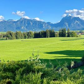 Terrasse mit Schlossblick I Tiefgarage I Hund