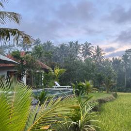 Uma Mupu, hotel i Gianyar