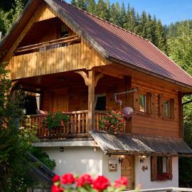 Shepherds House "Alpine Dreams", ξενοδοχείο σε Solčava
