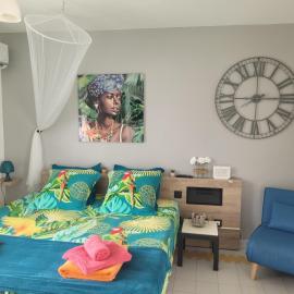 Studio papillon manganao