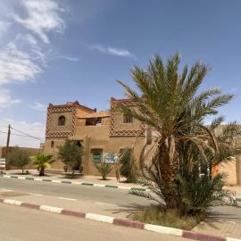 Riad Aicha & Camel Trekking