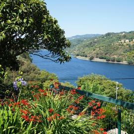 Quinta Da Porta Caseira, Hotel in Resende