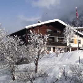 Gasthof-Pension Wulfenia, hotel a Gargellen