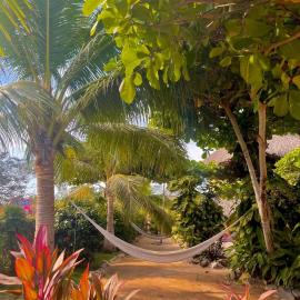 Troncones Point Hostel, מלון בטרונקונס