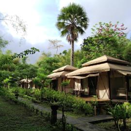 Jawa Jiwa G-Land Resort, hotel in Grajagan