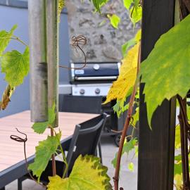 les galets de l agly, 6 ch, 12 couchages Semaine ou WE famille amis copains