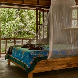 Monkey Mansion - Jungalows & Tours, hotel v destinaci Khao Sok