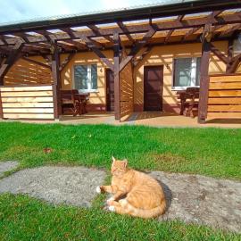Agroturystyka Alex, Hotel in Szczecinek