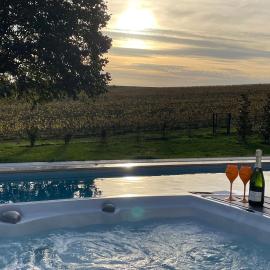 Best view, pool and spa on the Champagne vineyard, khách sạn ở Saint-Thierry