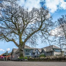 Oak Tree Inn, Hotel in Balmaha