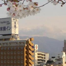 Toyoko Inn Kofu eki Minami guchi No 1, хотел в Кофу
