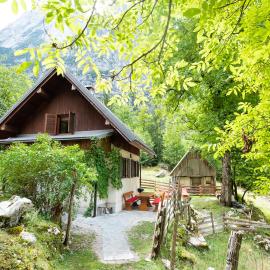 Alpine house Antonia, hotel in Trenta