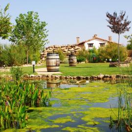 Finca El Encinar, hotel in Pedro Muñoz