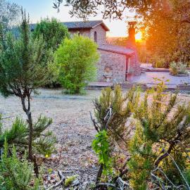 Casale Delle Querce farmhouse in Giove Umbria with pool