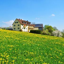 Ferienwohnung Kappauf / Petrik, hotel u gradu Friedenfels
