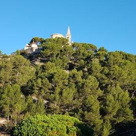 gite sous l'olivier