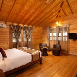 The Porcupine Castle Resort, hotel Madikeriben