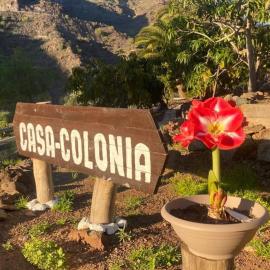Casa Colonia