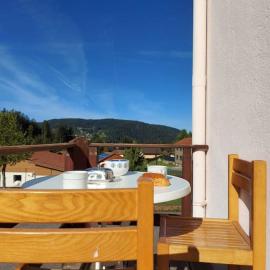 Bel appartement dans une ferme Vosgienne, Hotel in Xonrupt-Longemer