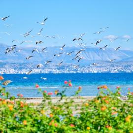 Nikos Kalamaki Corfu
