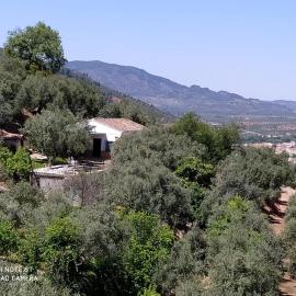 Cortijo las lagunillas