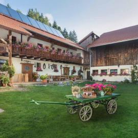 Bayerwald-Ferienhof Schmid, hotel i Eppenschlag