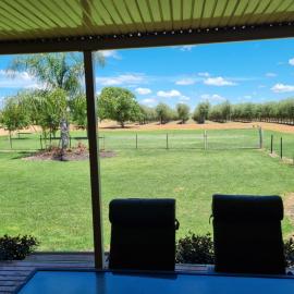 Waikerie Olive Grove, hotel in Waikerie