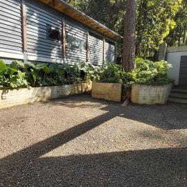 Casa William en el bosque