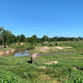 I love phants Lodge, Hotel in Ban Huai Thawai