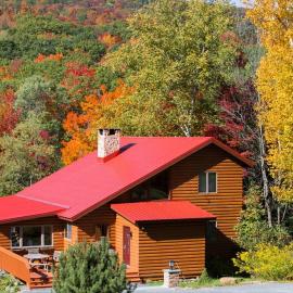 Birch Creek Lodge, Hotel in Pine Hill
