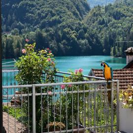 Residence Belvedere, hotel di Barcis