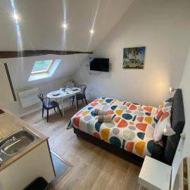 Cattleya location, Hotel in Vierzon