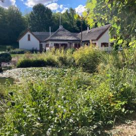 Wildente Vadászház, hotel din Tamási