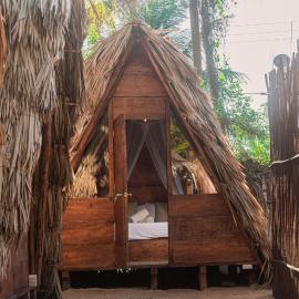 Mapache Hostel