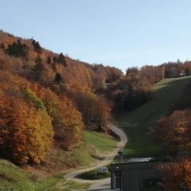 petit nid montagnard